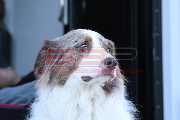 BBP_Highland0906-24