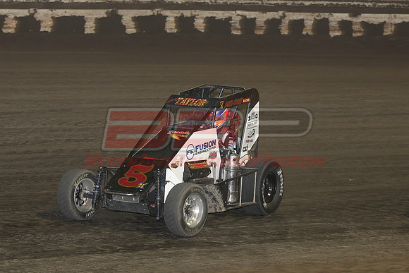 BBP_Sycamore0510-209