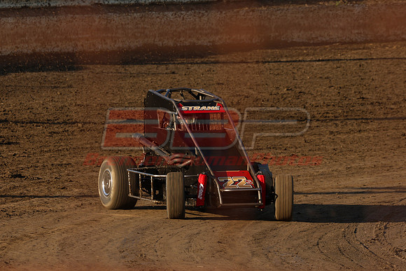BBP_Sycamore0510-44