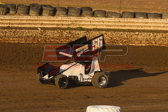 BBP_Sycamore0510-113