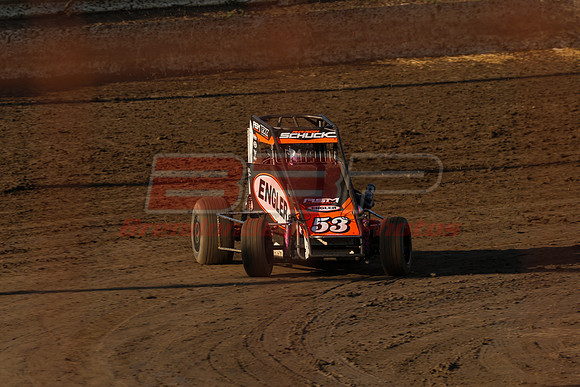 BBP_Sycamore0510-41
