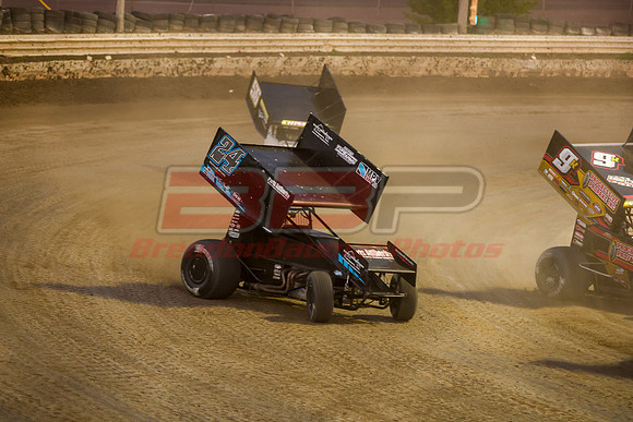 BBP_Sycamore0510-183