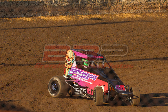 BBP_Sycamore0510-53