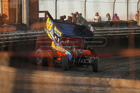 BBP_Sycamore0510-119