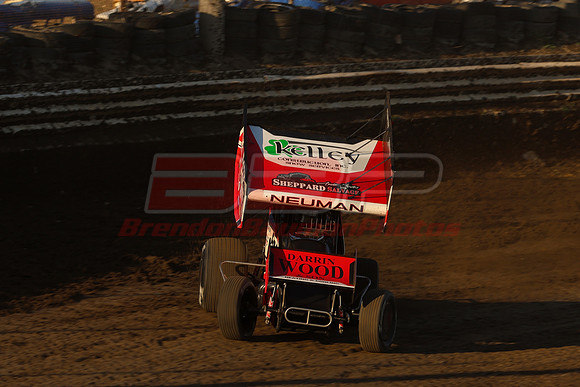 BBP_Sycamore0510-105