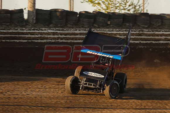 BBP_Sycamore0510-123