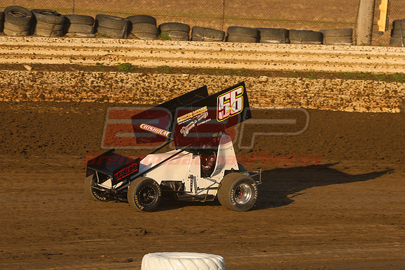 BBP_Sycamore0510-112