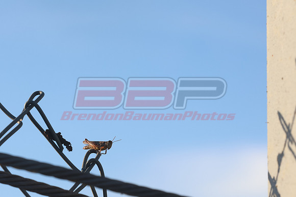 BBP_Jax0614-69