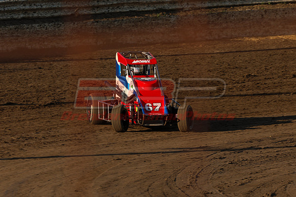 BBP_Sycamore0510-38