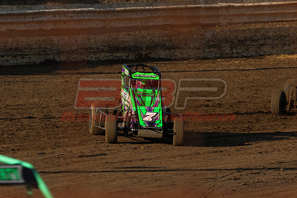 BBP_Sycamore0510-36
