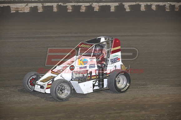 BBP_Sycamore0510-196