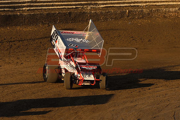 BBP_Sycamore0510-91