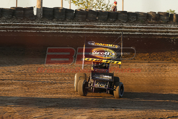BBP_Sycamore0510-128