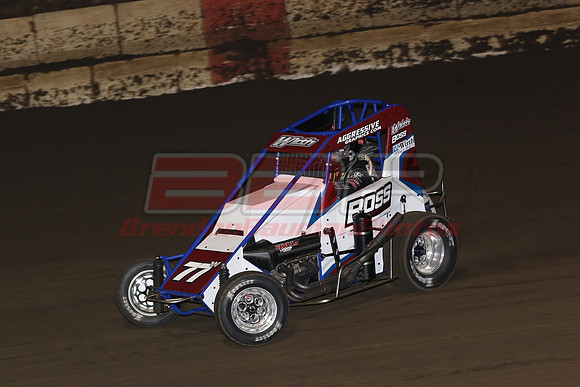 BBP_0558