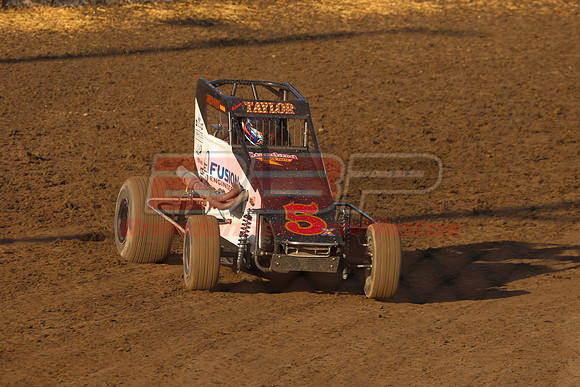 BBP_Sycamore0510-50