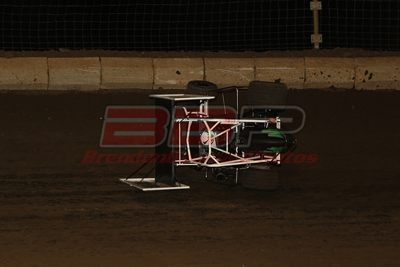BBP_2011