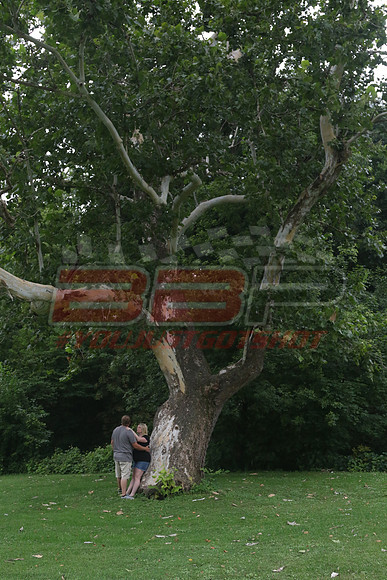 BBP_0253