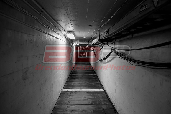 BBP_Spfld0817-123